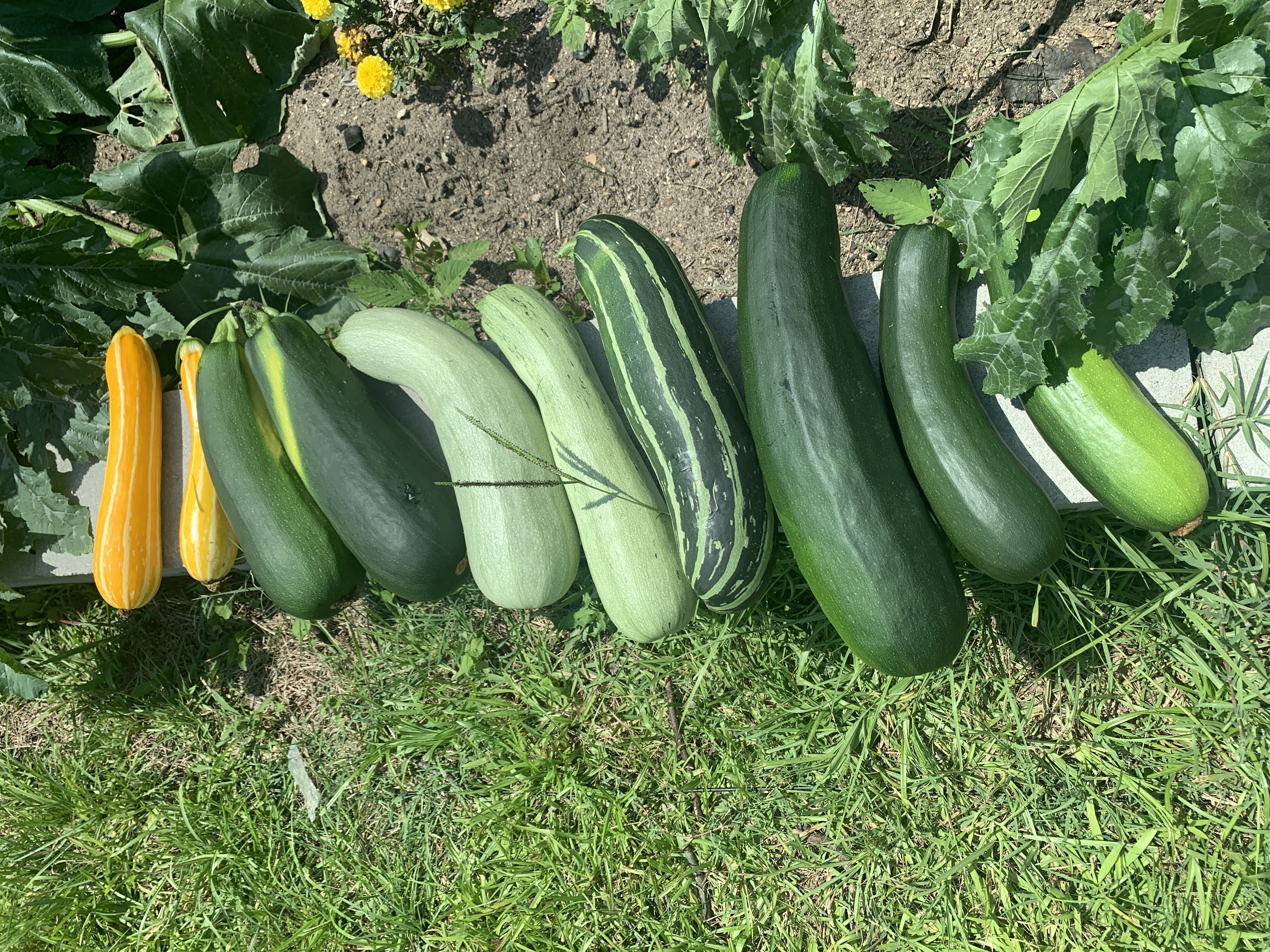 Harvest 2022
